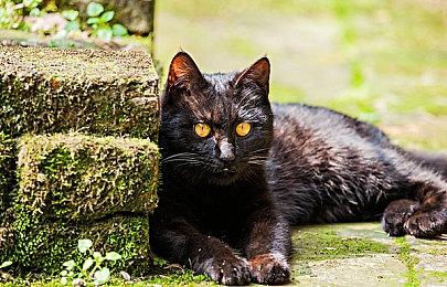 《原神》2.6版本今日正式上线 新区域“层岩巨渊”开放